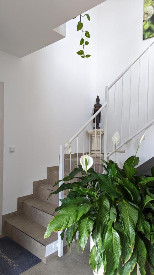 Gaestehaus Freystadt Buitenkant foto