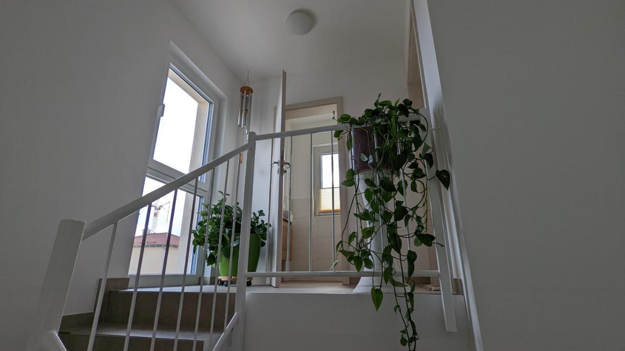 Gaestehaus Freystadt Buitenkant foto